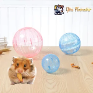 Banh chạy cho Hamster