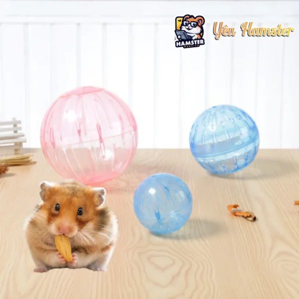 Banh chạy cho Hamster