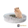 Cát Buddy trắng cho Hamster