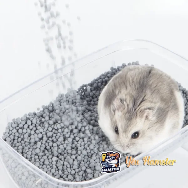 Cát Sand Cho Hamster Giải Nhiệt