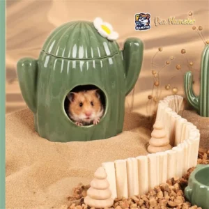 Nhà Ngủ Hamster – Nhà Ngủ Hamster Hình Xương Rồng